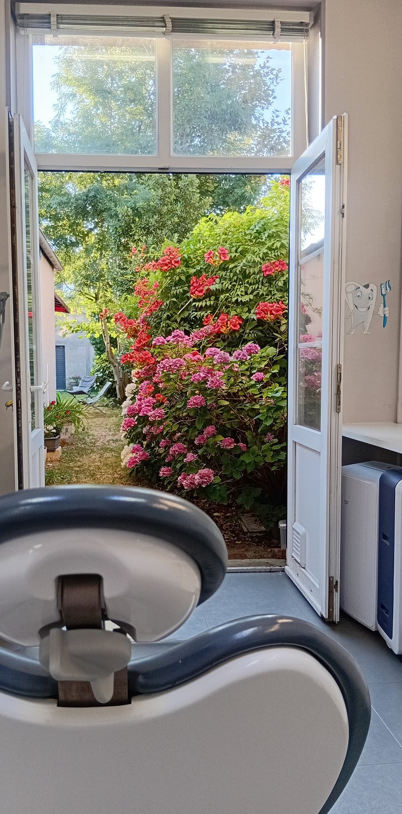 Salle de soins du cabinet dentaire de Sourdeval avec vue sur le jardin fleuri